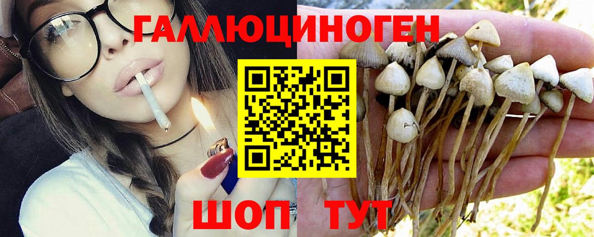 Псилоцибиновые грибы ЛСД  Вход с VPN  купить наркотики сайты  Великий Новгород  Псилоцибиновые грибы мицелий 